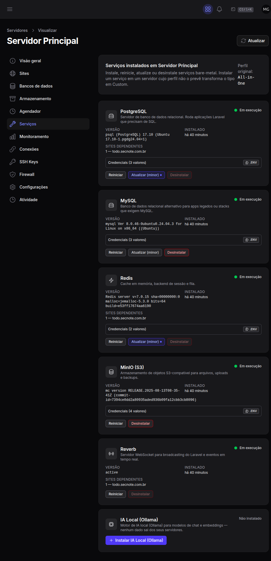 Página de serviços de um servidor com cartões de instalar, atualizar e desinstalar