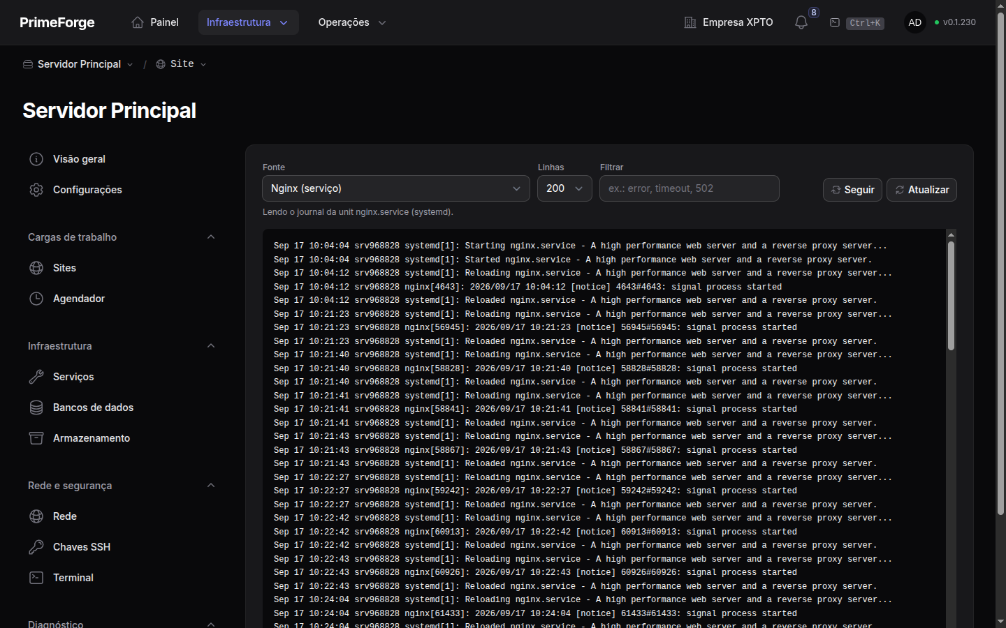 Página Logs do servidor com o journal do nginx selecionado