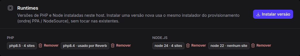 Runtimes instalados em um servidor, na página Serviços