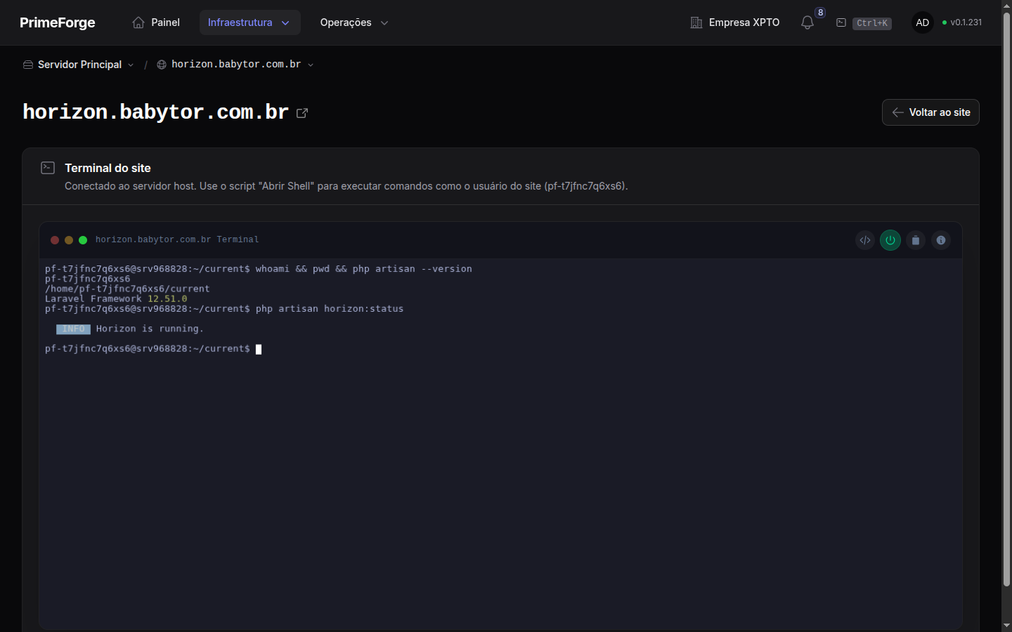Terminal de um site, com os scripts prontos ao lado da sessão